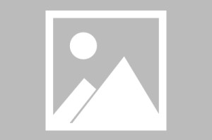 世界杯赛事观看入口-【布鲁克林网事】篮网队的“上限们”媒体日说了什么？